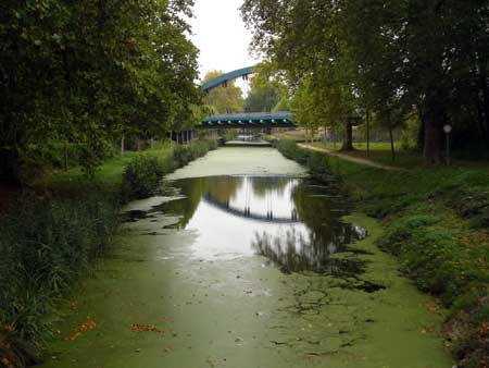Autoroute de l'arbre