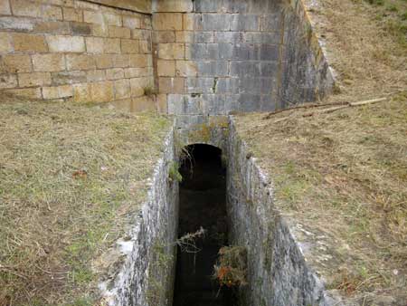 Ponceau