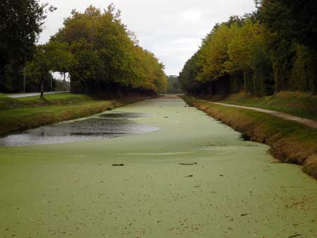 Bief du Gué des Cens