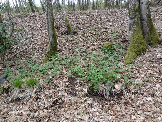 Rigole d'alimentation du canal du Nivernais (Rigole d'Yonne)