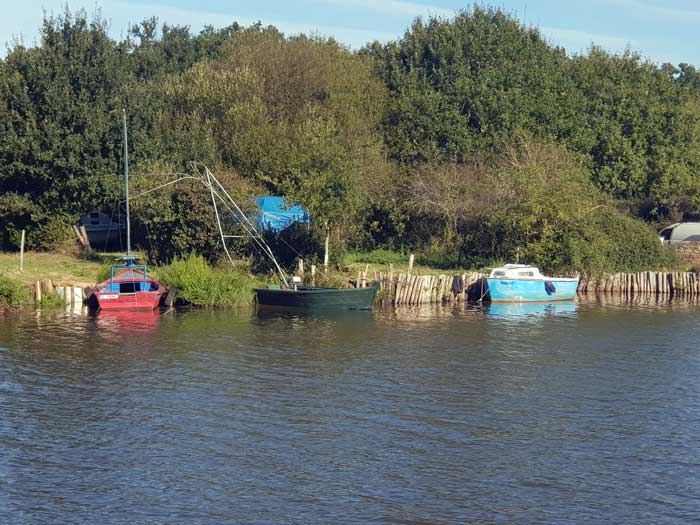 Bord de Vilaine