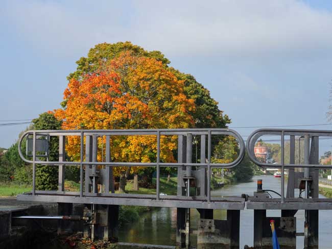 Vue automnale sur Castelsarrasin