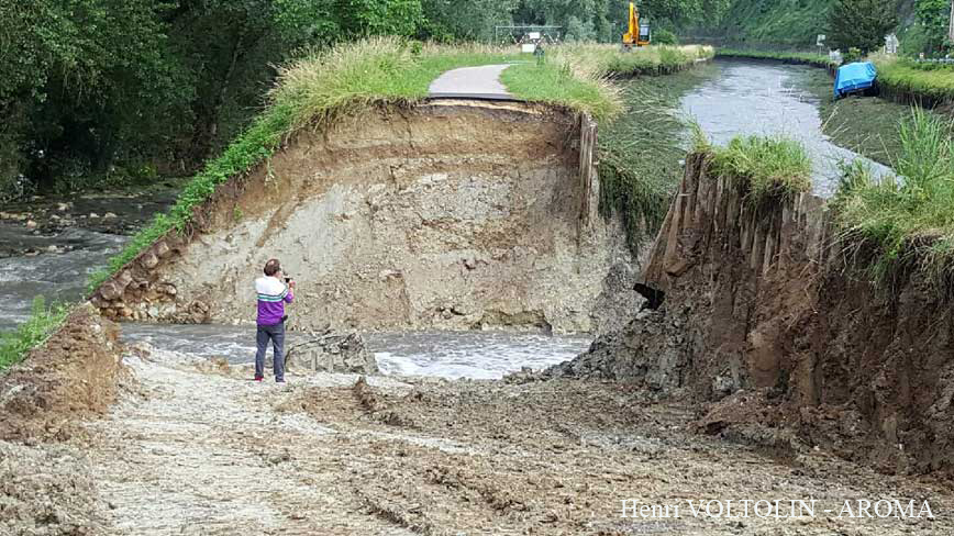 Rupture de berge - Meihlan sur Garonne