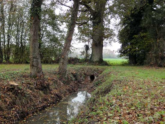 Canal de la Sauldre