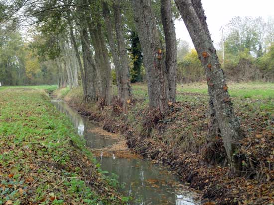 Canal de la Sauldre