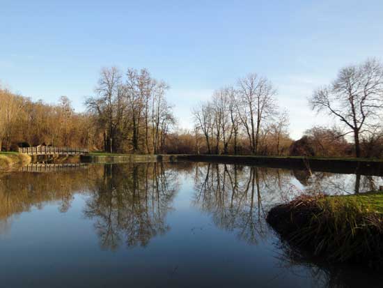 canal de la Sauldre