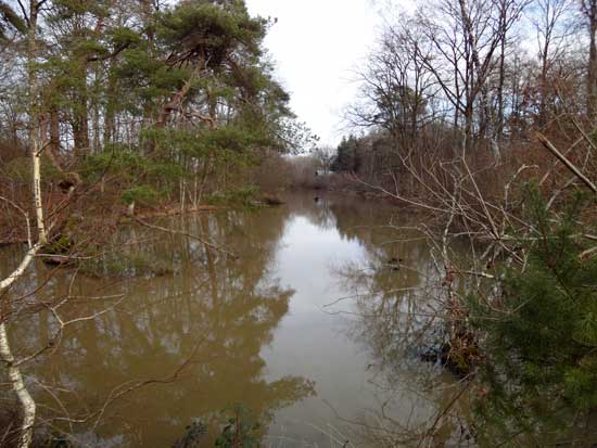 Ancien canal de La Sauldre
