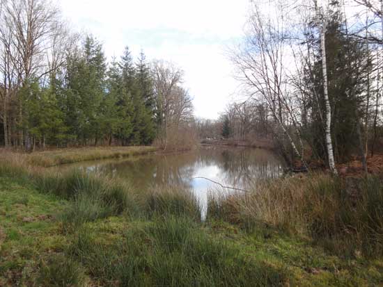Ancien canal de La Sauldre