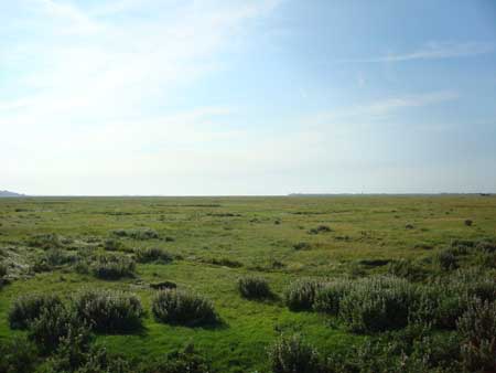 Baie de Somme
