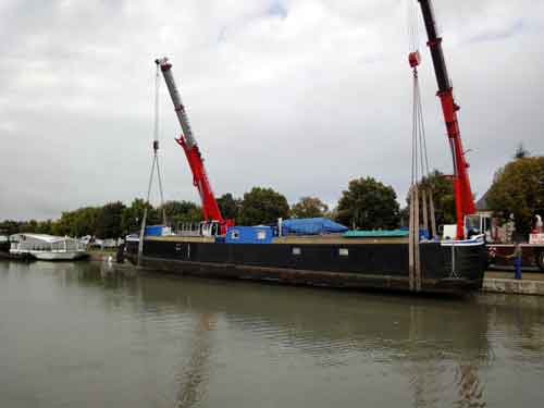 Grutage de MS Blue Berry