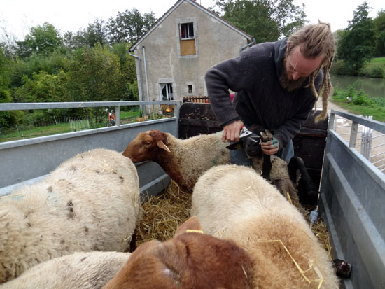 Pastoralisme Briare